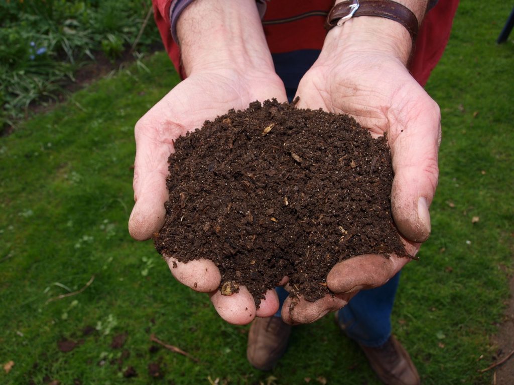 fresh, compost, hand